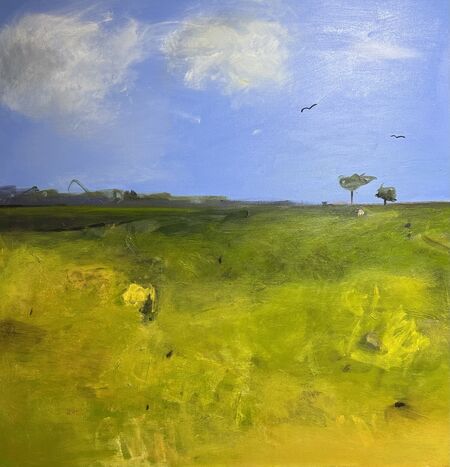 Countryside - A Field Day