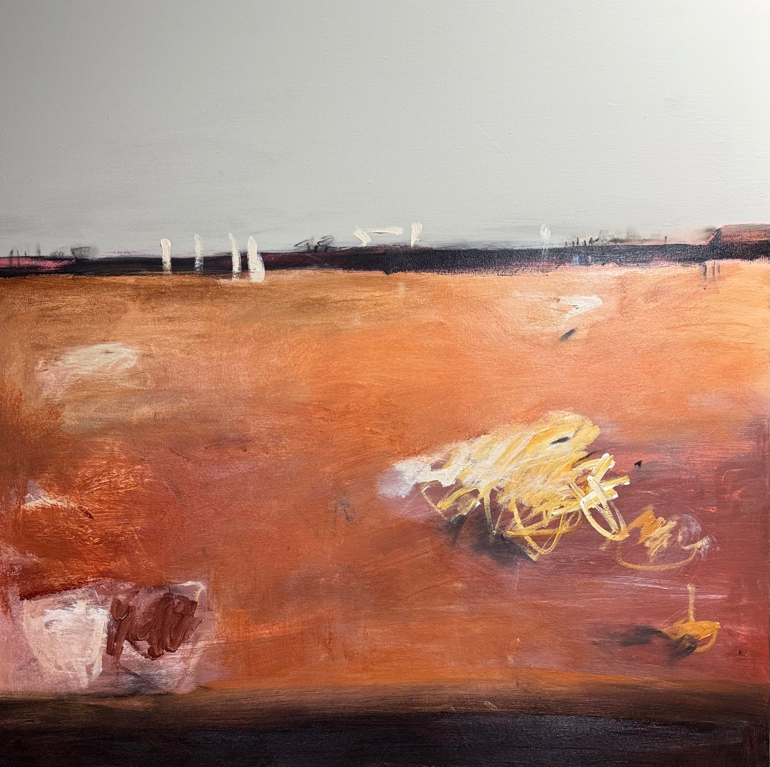 After the Fires - Beautiful Devastation