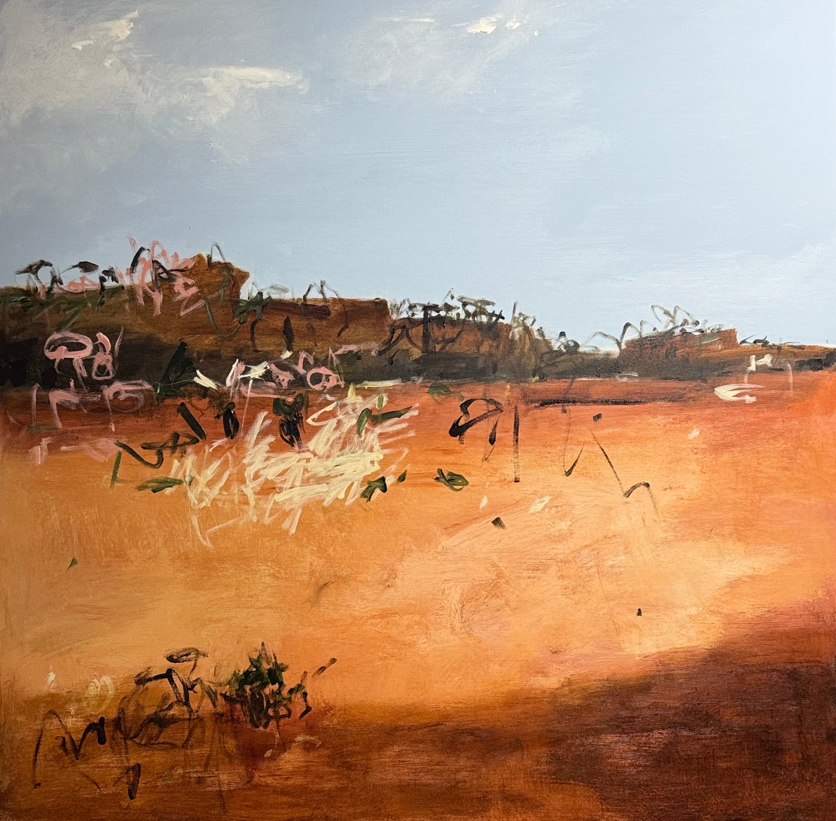 Outback - Resilience