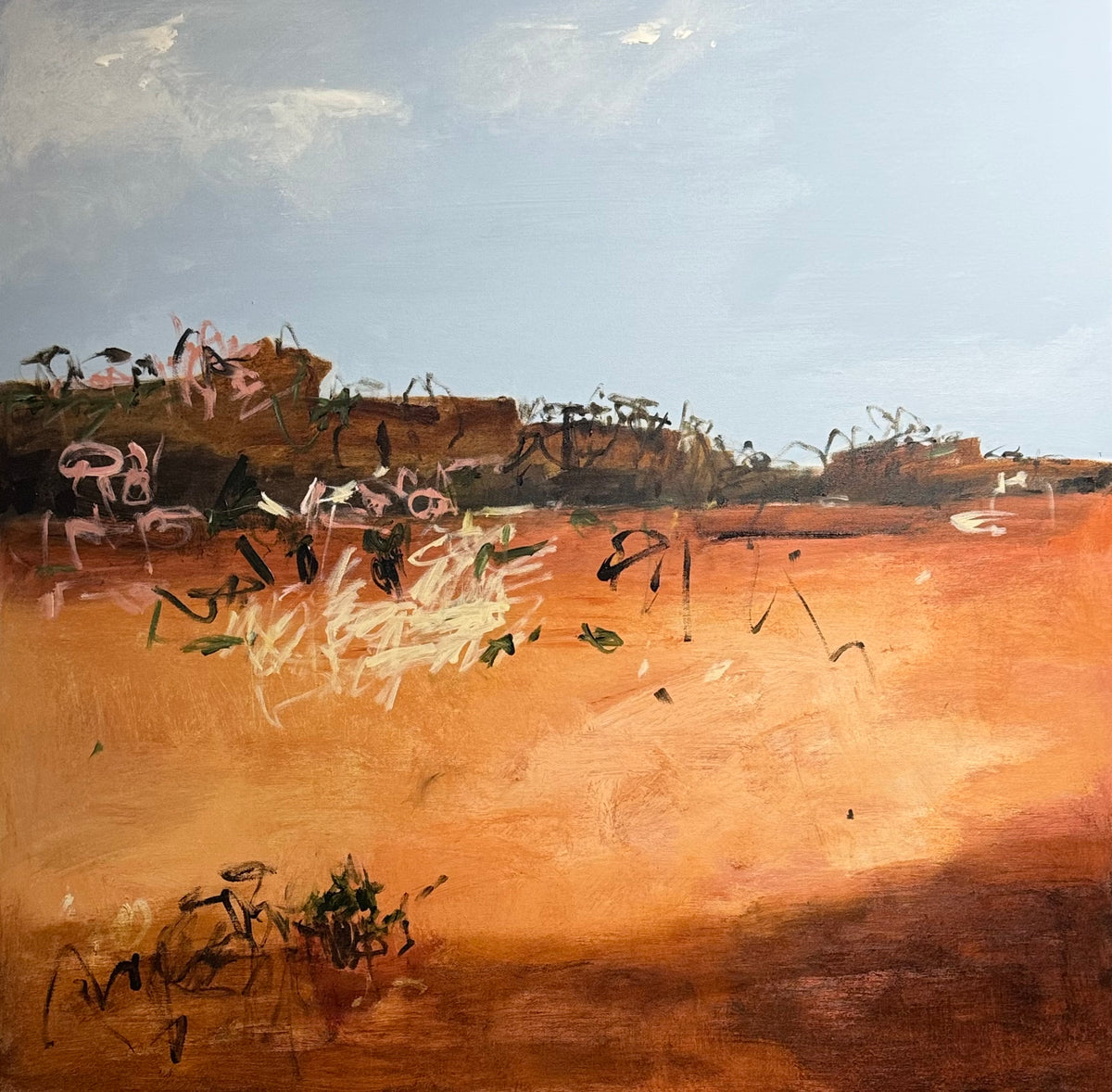 Outback - Resilience (Framed)