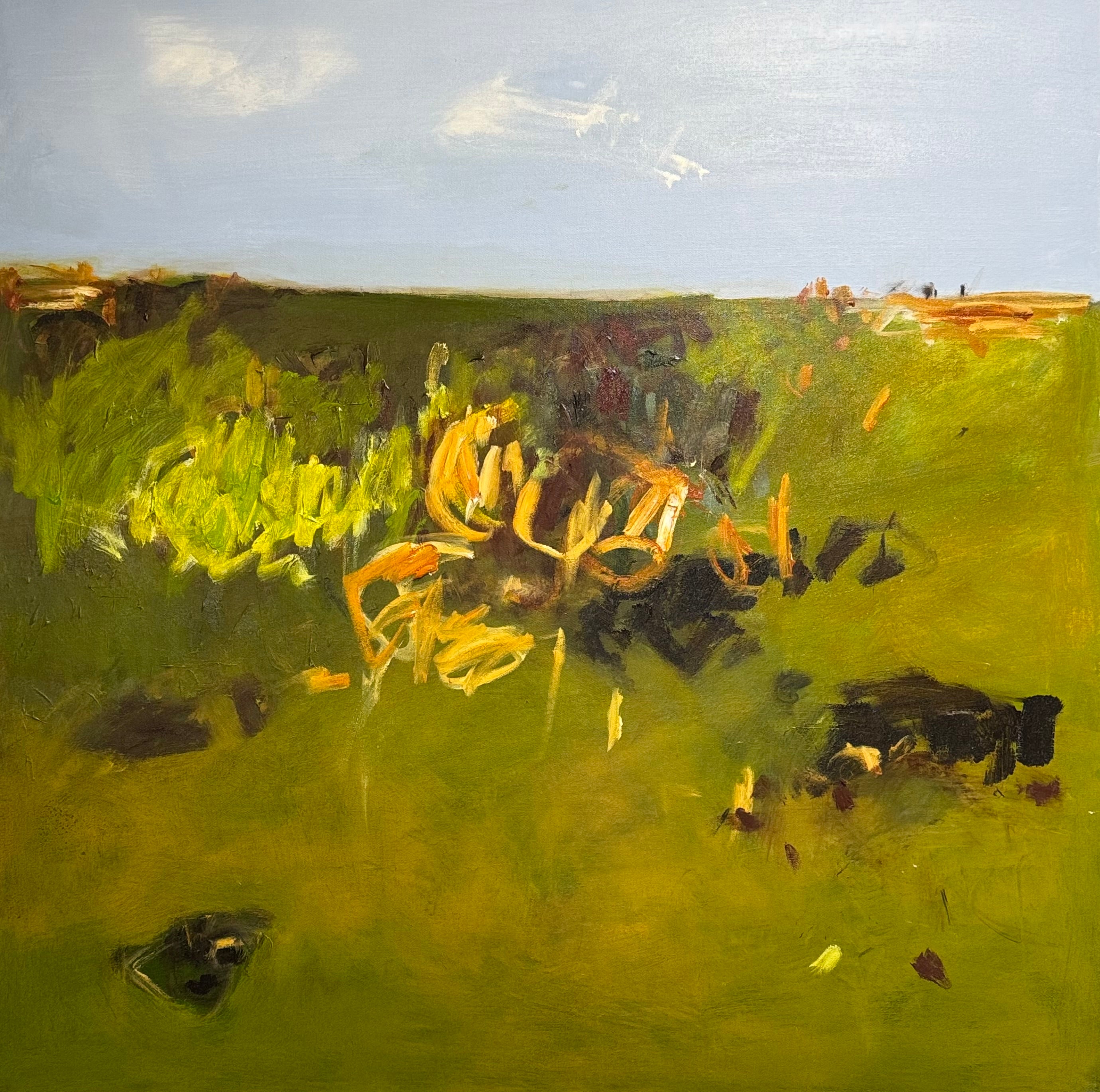 Countryside - Field of Dreams