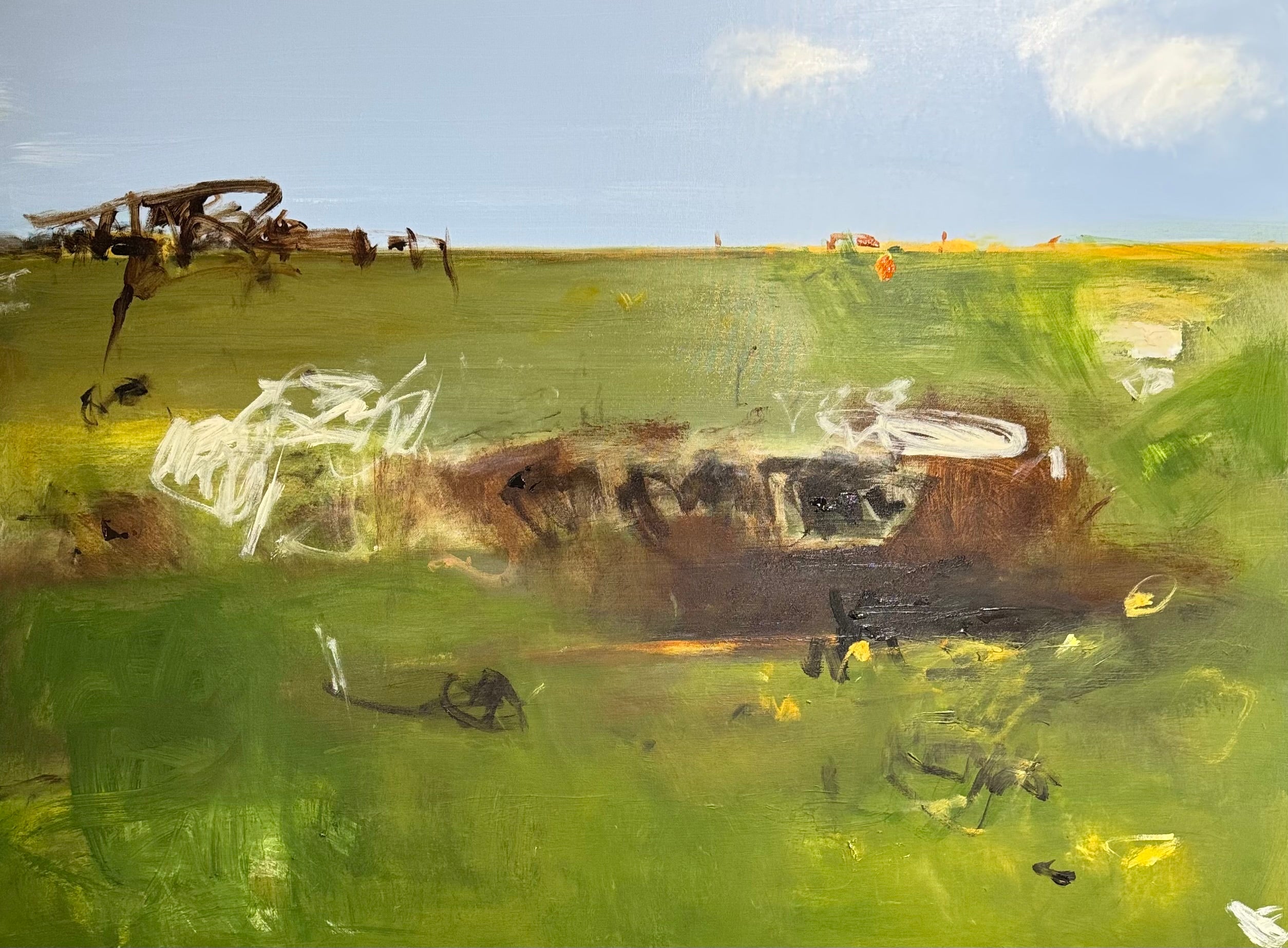 Countryside - The Farm Paddock