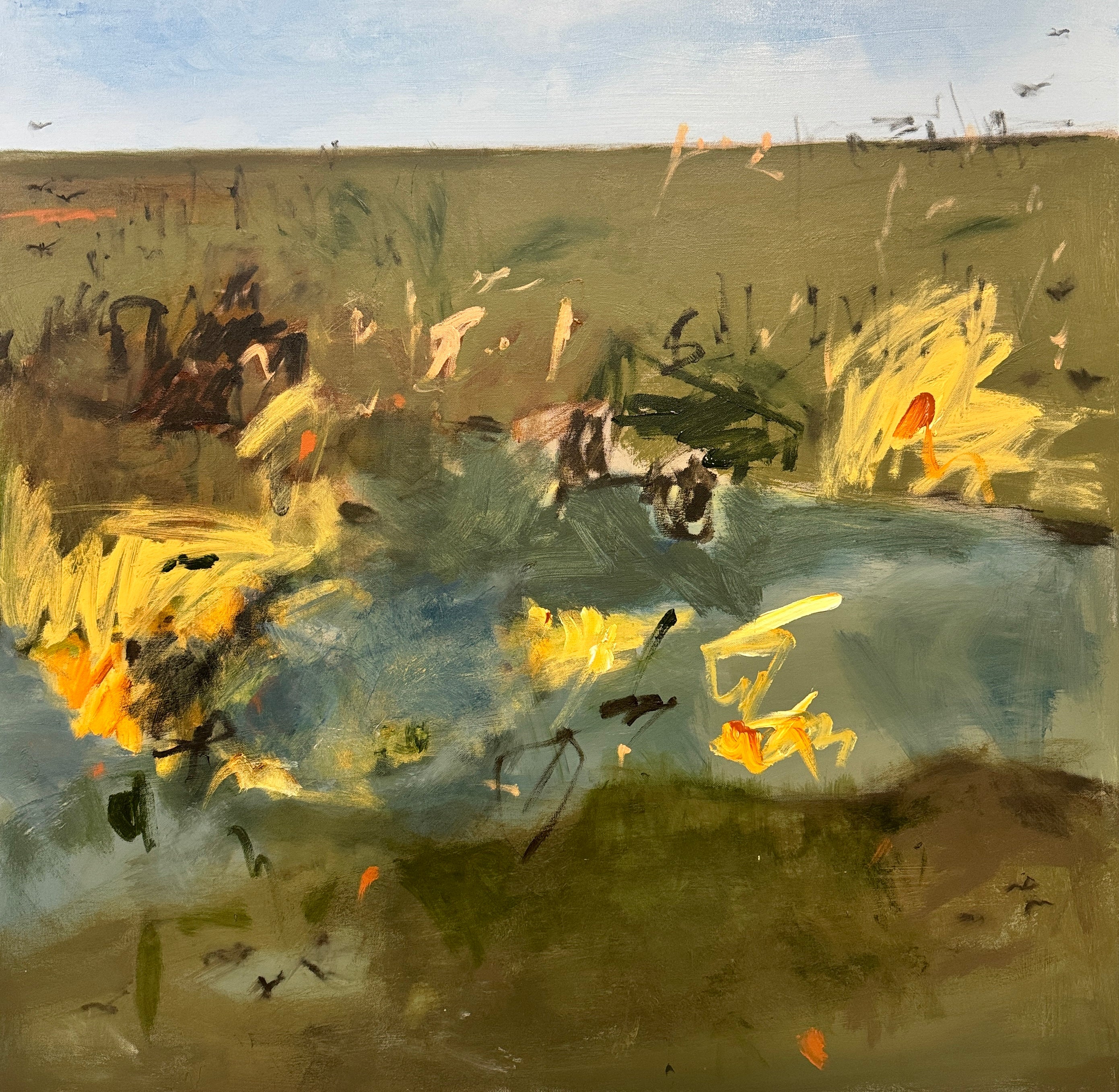 Wetlands - Quiet Haven