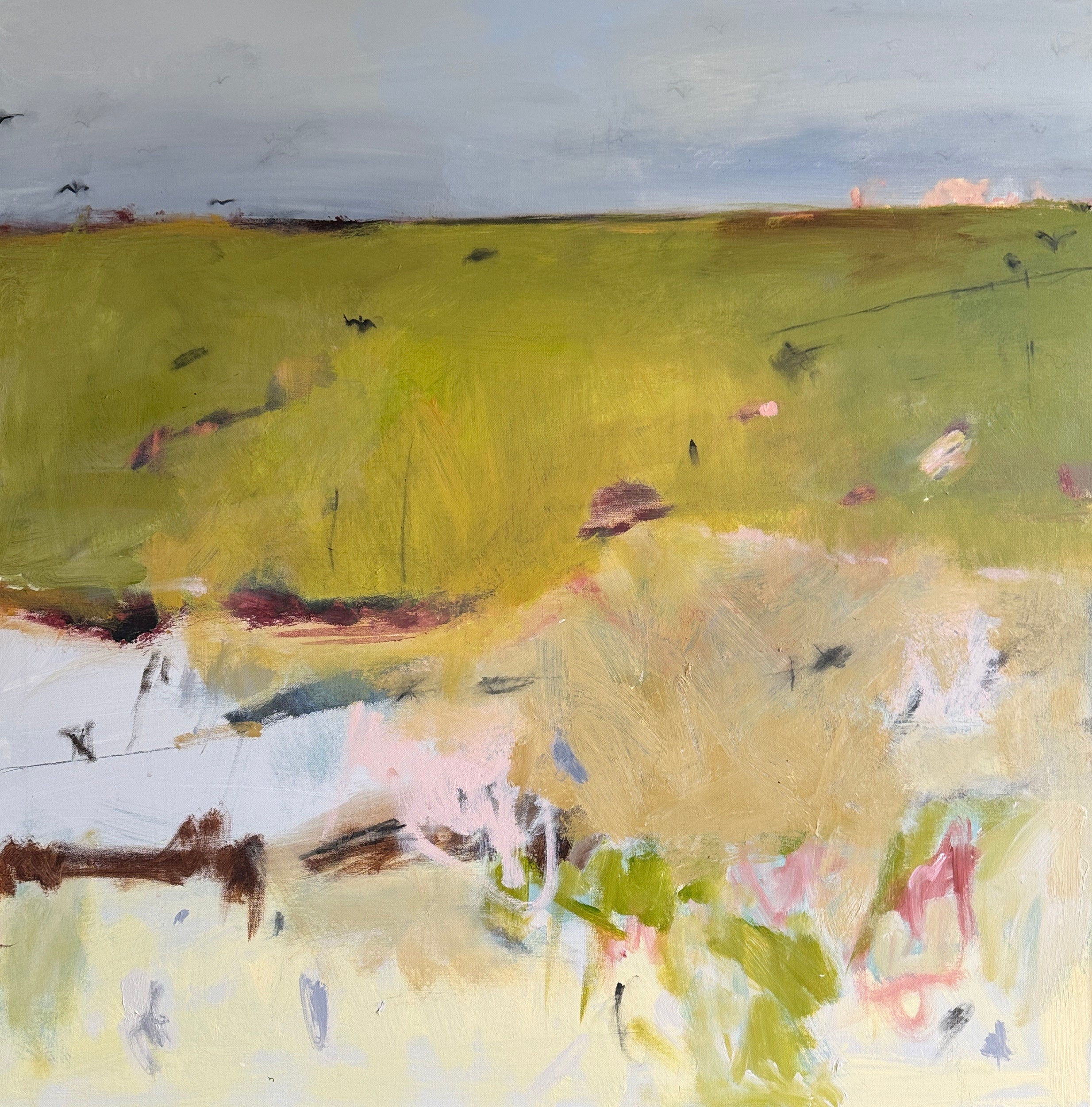 Countryside - Fleeting Light