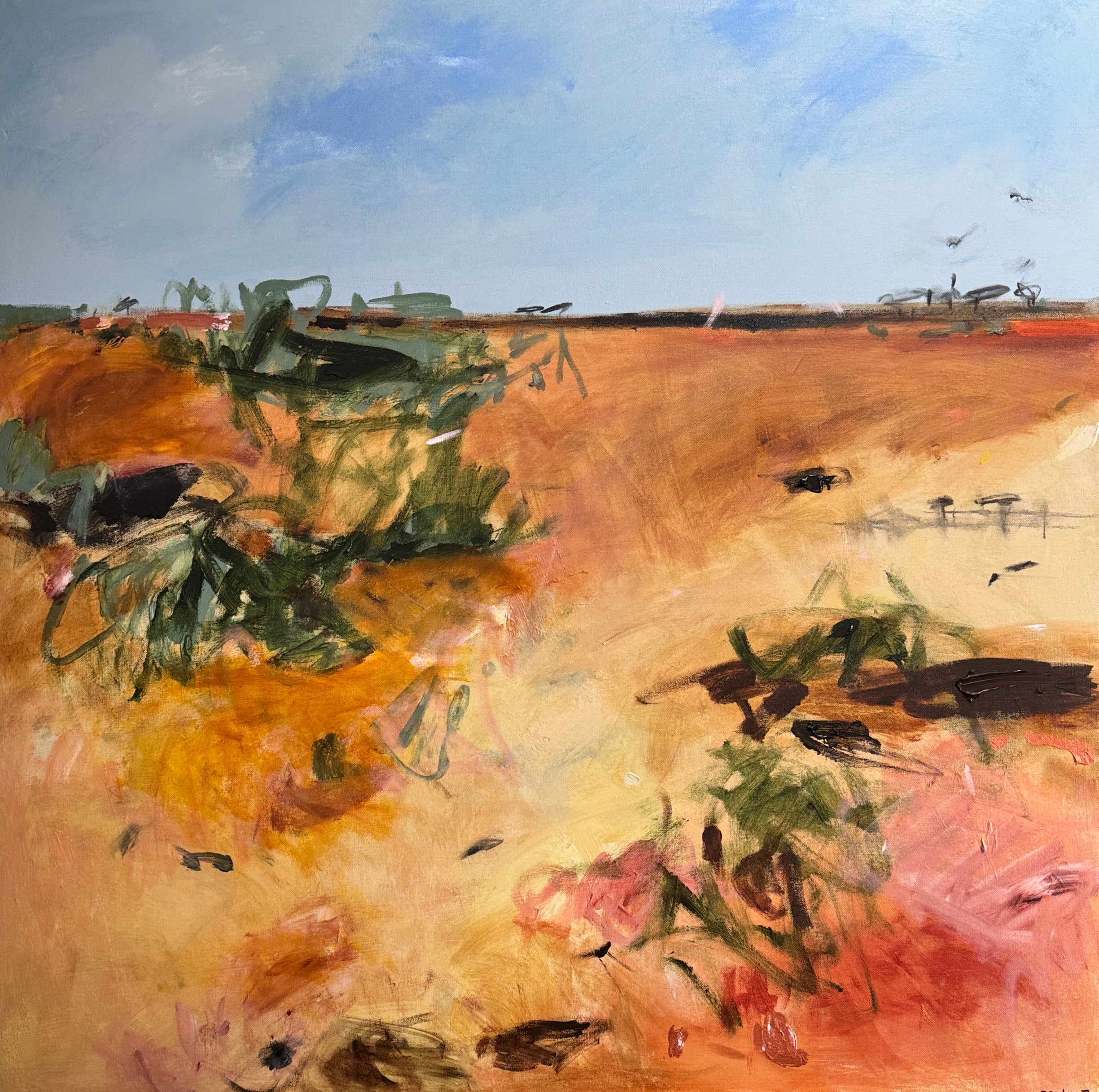 Stillness of the Outback