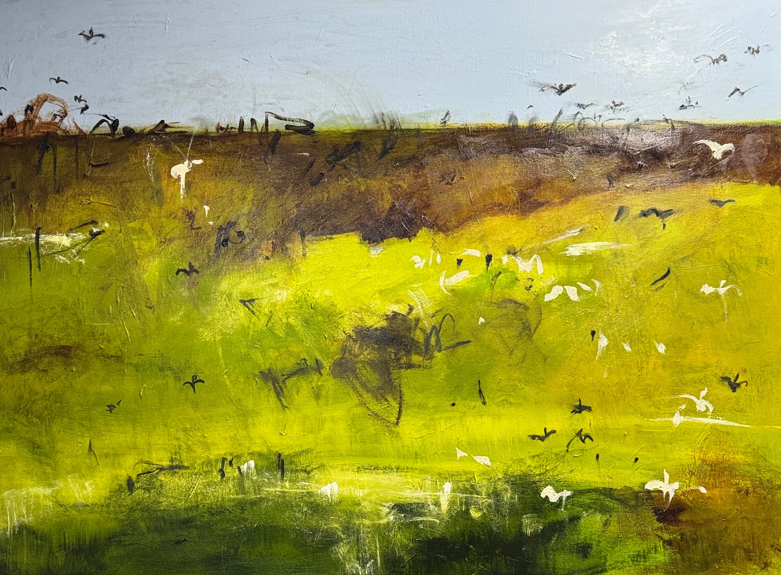 Wetlands - Earth Magic
