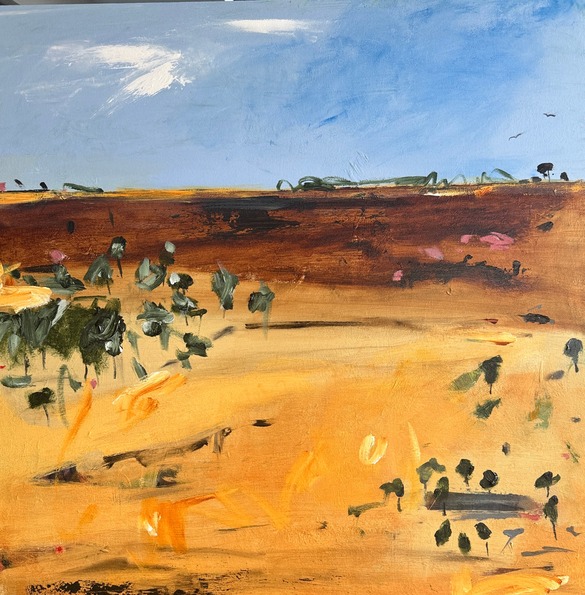 Outback - Ochre and Desire