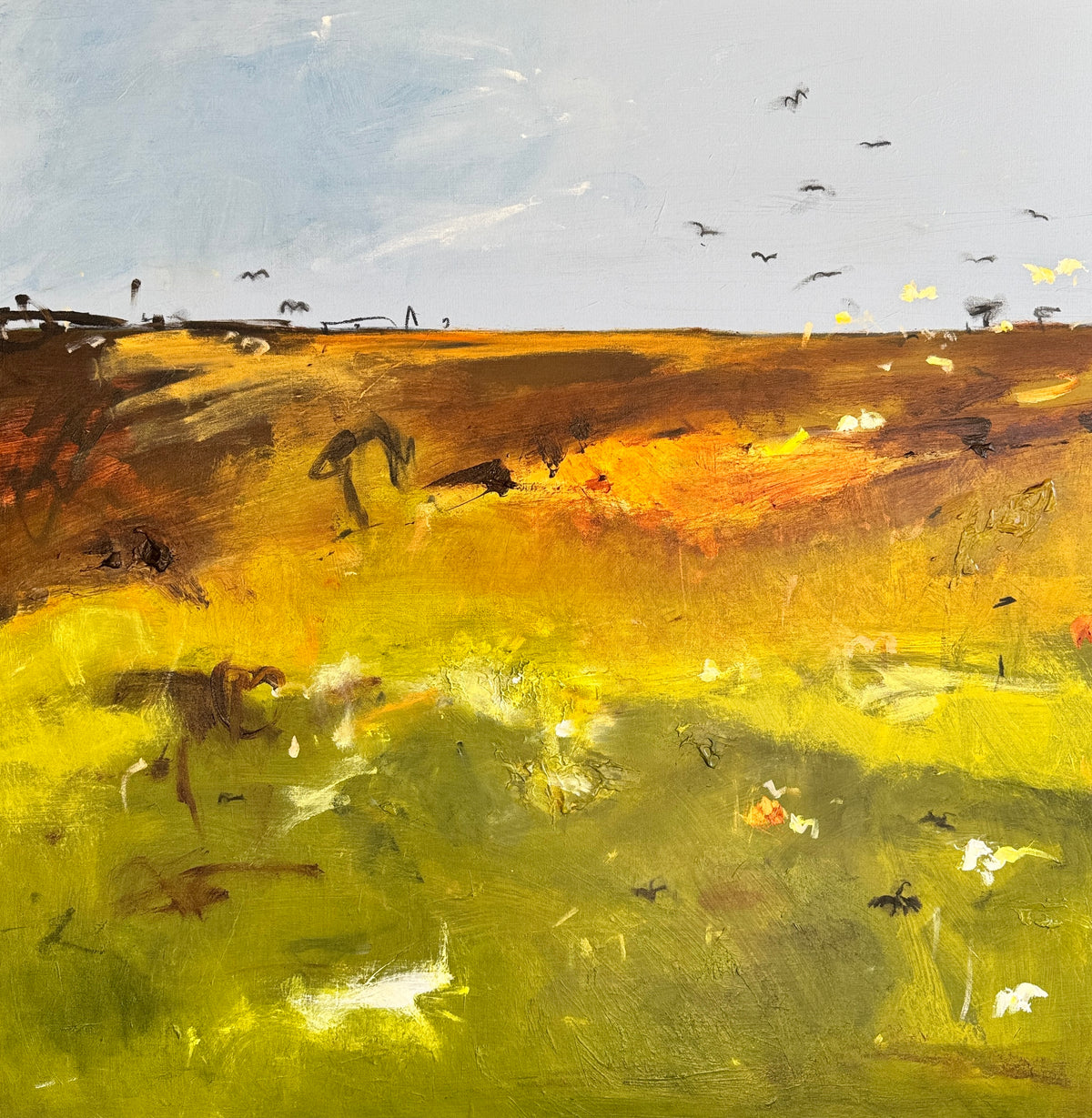 Wetlands